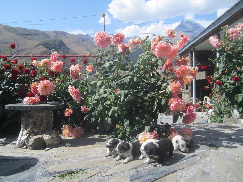 Qusha Guesthouse Meeting In The Mountains And Views คัซเบกี ห้อง รูปภาพ