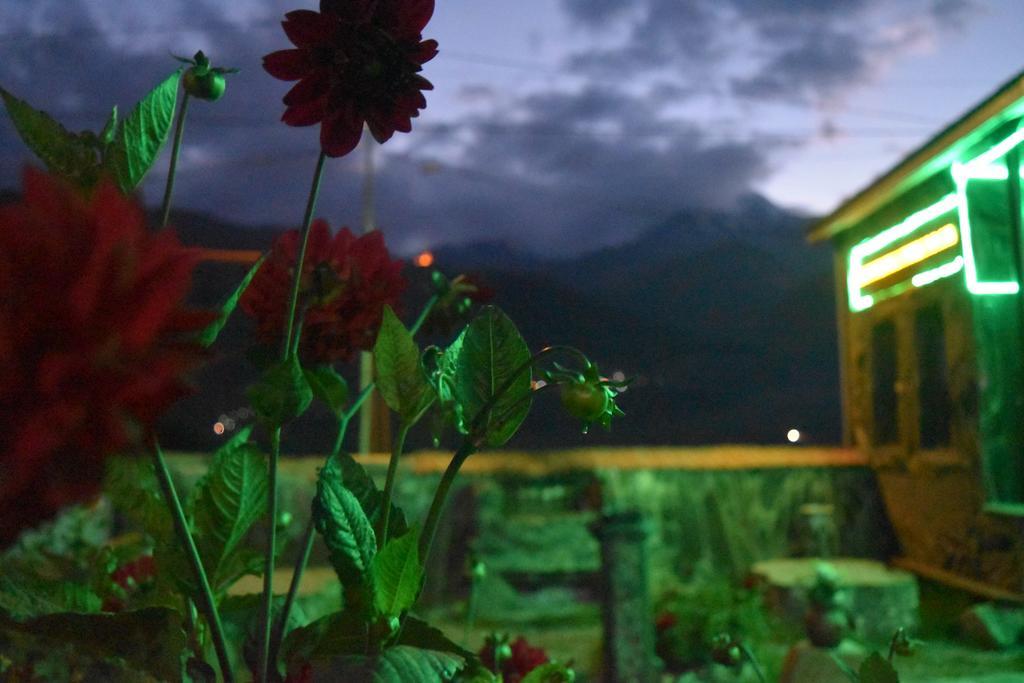 Qusha Guesthouse Meeting In The Mountains And Views คัซเบกี ภายนอก รูปภาพ
