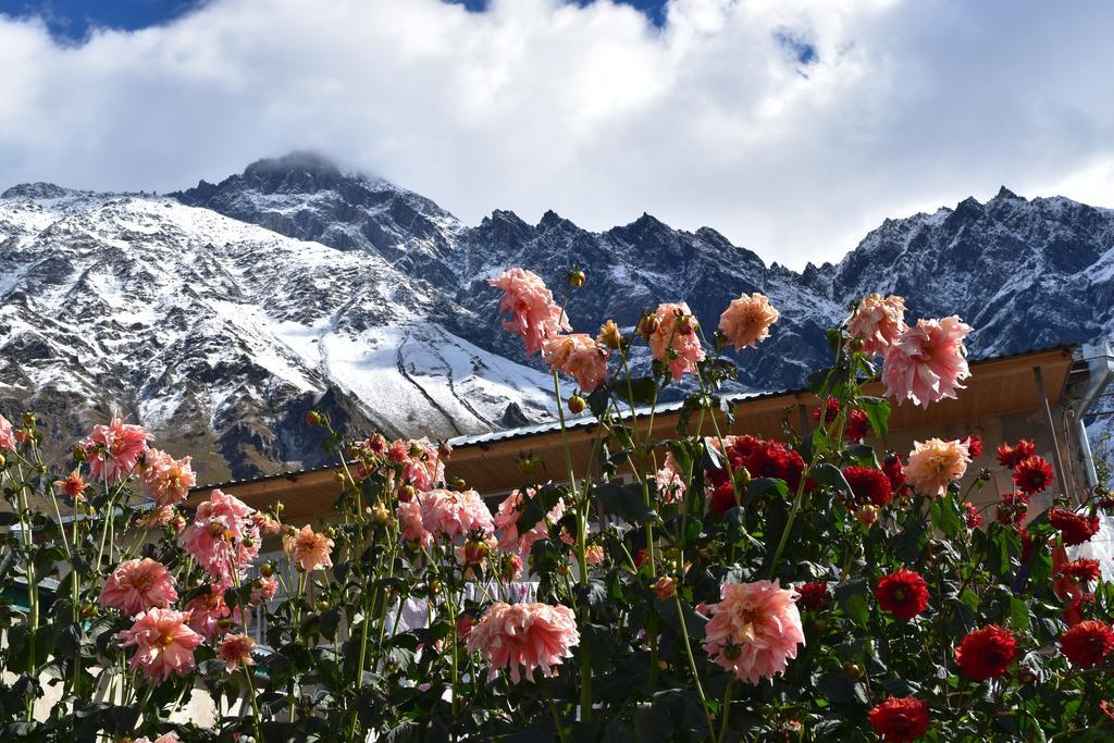 Qusha Guesthouse Meeting In The Mountains And Views คัซเบกี ภายนอก รูปภาพ